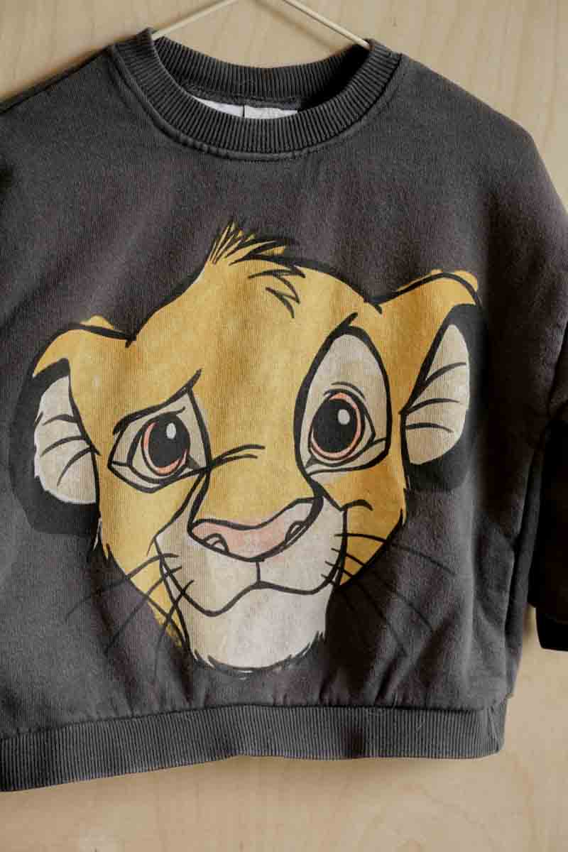 Charcoal Grey Simba Pullover Sweater: 2-3T