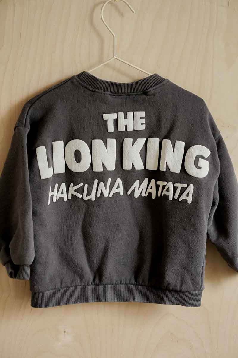 Charcoal Grey Simba Pullover Sweater: 2-3T